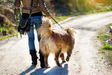 Kafkas çoban köpeği ile oynayan kız sonbahar