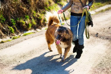 Kafkas çoban köpeği ile oynayan kız sonbahar