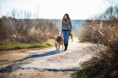 Kafkas çoban köpeği ile oynayan kız sonbahar