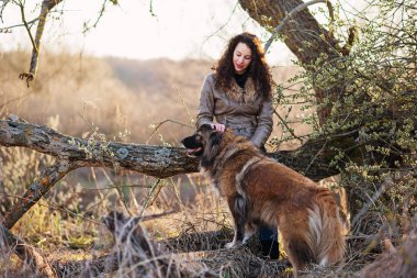 Kafkas çoban köpeği ile oynayan kız sonbahar