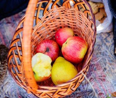 hasır sepet sonbahar Garden olgun Kırmızı elma ile bir Bahçe, hasat ve insanlar kavramı - tarım, yakın çekim
