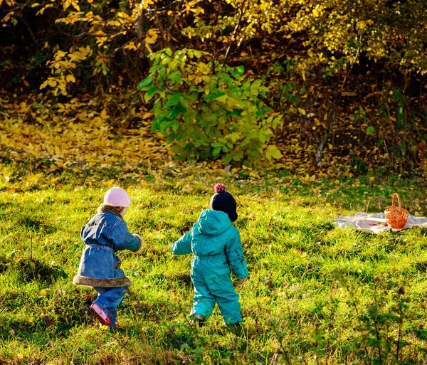 Dzieci gry w jesienny park. Dzieci zabawy na świeżym powietrzu, w dzień słoneczny upadek. Chłopak i dziewczyna pracuje razem ręka w rękę w lesie. Malucha i przedszkolak wybierz kolorowy liść dębu. — Zdjęcie stockowe