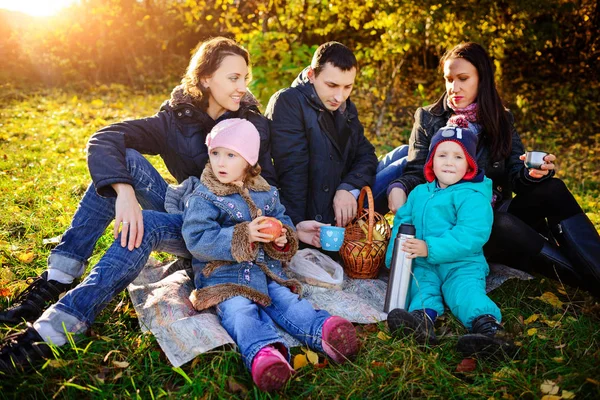 Gelukkig jong gezin van vier hebben picnic op weide bij zomerdag — Stockfoto