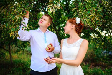 Bir elma ağacı dalları altında duran elma bahçesi içinde gelin ve damat öpüşme