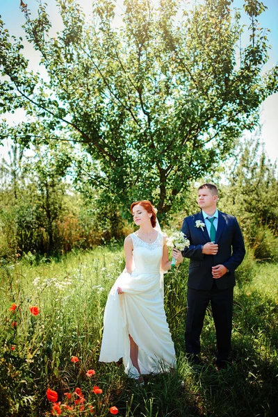 Νύφη και ο γαμπρός έχουν χέρια μεταξύ τους ενώ περπατούν κατά μήκος της διαδρομής στο πάρκο. — Φωτογραφία Αρχείου
