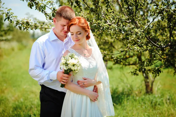 Braut und Bräutigam halten sich an den Händen, während sie den Weg im Park entlanggehen. — Stockfoto