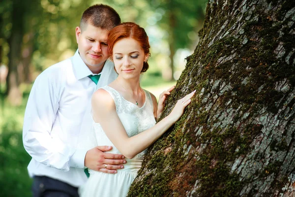 Park.A 쌍의 신혼 부부, 신랑 신부를 녹색 숲 자연에 결혼식에서 신랑 신부를 키스 사진. 웨딩 Couple.Wedding 산책 — 스톡 사진