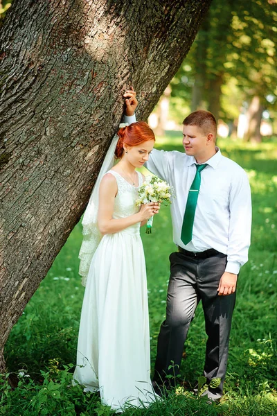 La mariée et le marié dans le parc.Une paire de jeunes mariés, la mariée et le marié au mariage dans la forêt verte nature baiser photo.Mariage Couple.Wedding promenade — Photo