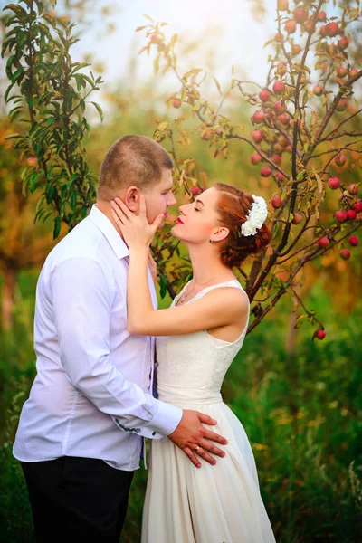 De bruid en bruidegom zijn kussen in de appelboomgaard, permanent onder de takken van een appelboom — Stockfoto