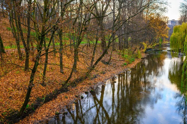 Pequeno rio na floresta de outono — Fotografia de Stock