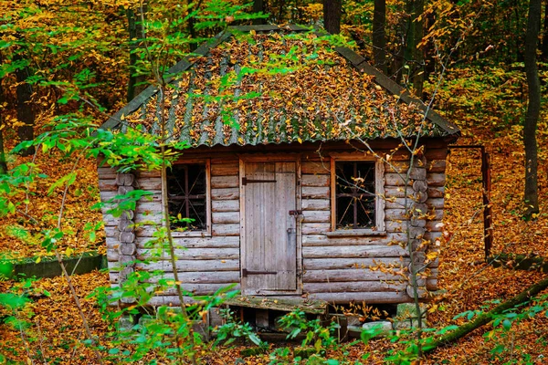 Afstandsbedie-ning oude houten shack van ranger in herfst bos — Stockfoto