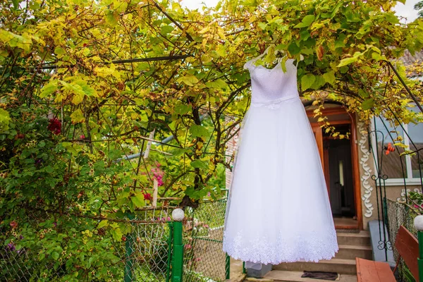 Vestido de noiva branco e pendurado em uma árvore no parque — Fotografia de Stock