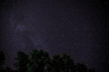 Mavi karanlık gece gökyüzüne alan ağaçların yukarıda birçok yıldız ile.
