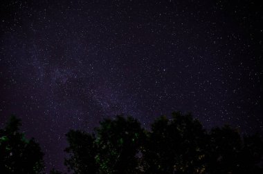Mavi karanlık gece gökyüzüne alan ağaçların yukarıda birçok yıldız ile.