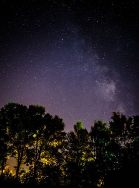 Yıldızlı gökyüzü ve ağaçlar ön planda