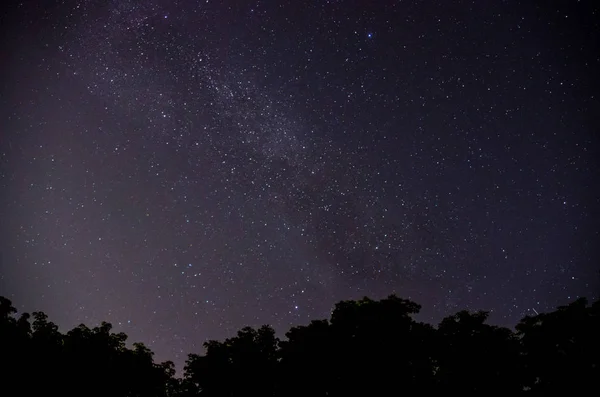Cielo azul oscuro nocturno con muchas estrellas sobre el campo de árboles . —  Fotos de Stock