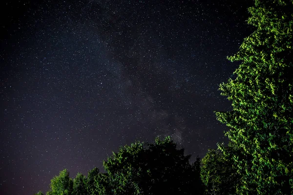 Modrá tmavá noční obloha s mnoha hvězdami nad polem stromů. — Stock fotografie