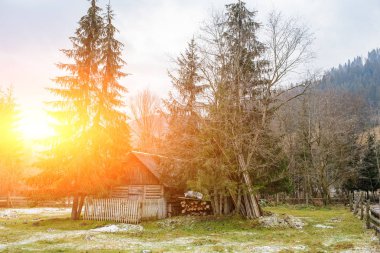 Karpat pinewood şirketten görüntülemek