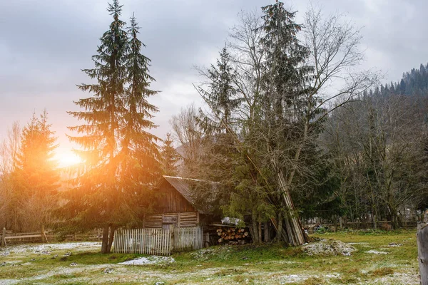 Zobacz na dom pinewood Podkarpacie — Zdjęcie stockowe