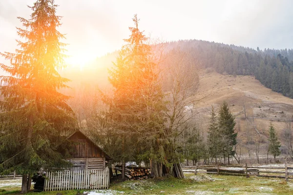 Zobacz na dom pinewood Podkarpacie — Zdjęcie stockowe