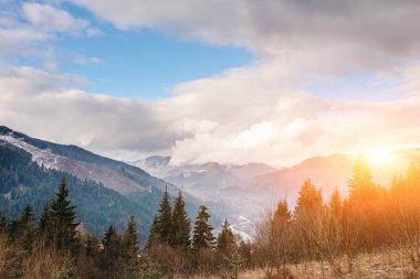 Doğal kış görünümü Karpat dağın zirvesinde