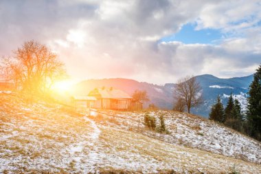 Karpat pinewood şirketten görüntülemek