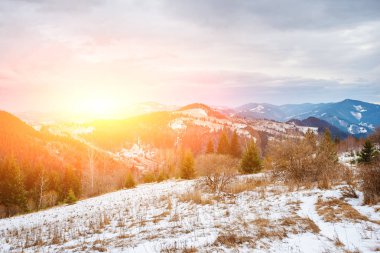 Doğal kış görünümü Karpat dağın zirvesinde