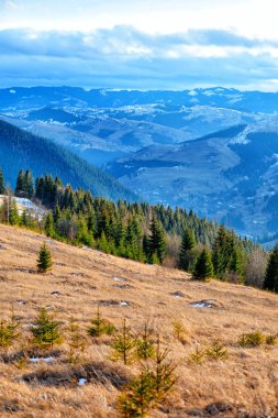 Doğal kış görünümü Karpat dağın zirvesinde