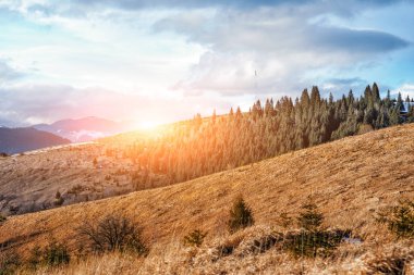 Doğal kış görünümü Karpat dağın zirvesinde