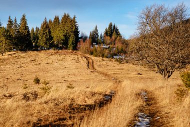 Doğal kış görünümü Karpat dağın zirvesinde