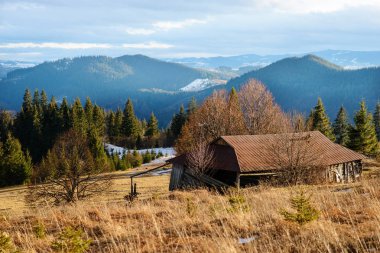 Doğal kış görünümü Karpat dağın zirvesinde