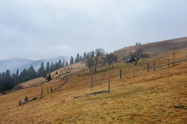 Erken baharda sabah siste Karpat Dağları, Transilvanya, Romanya ile güzel manzara