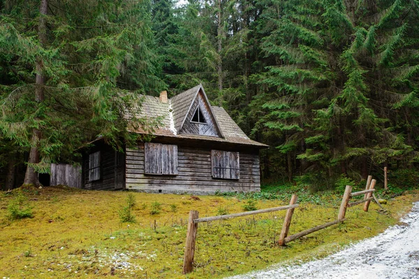 Zobacz na dom pinewood Podkarpacie — Zdjęcie stockowe