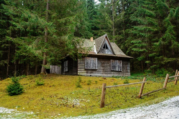 Zobacz na dom pinewood Podkarpacie — Zdjęcie stockowe