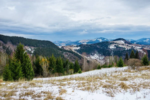 Malerischer Winterblick auf dem Gipfel der Karpaten — Stockfoto