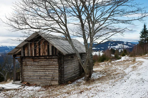 Zobacz na dom pinewood Podkarpacie — Zdjęcie stockowe