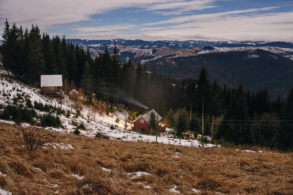 Vista sobre a casa de pinhal carpathian — Fotografia de Stock