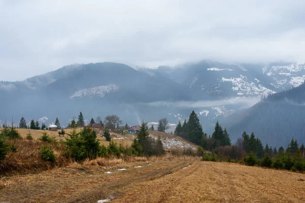 มุมมองที่สวยงามกับหมอกตอนเช้าในต้นฤดูใบไม้ผลิ ในภูเขา Carpathian ในทรานซิลเวเนีย โรมาเนีย — ภาพถ่ายสต็อก