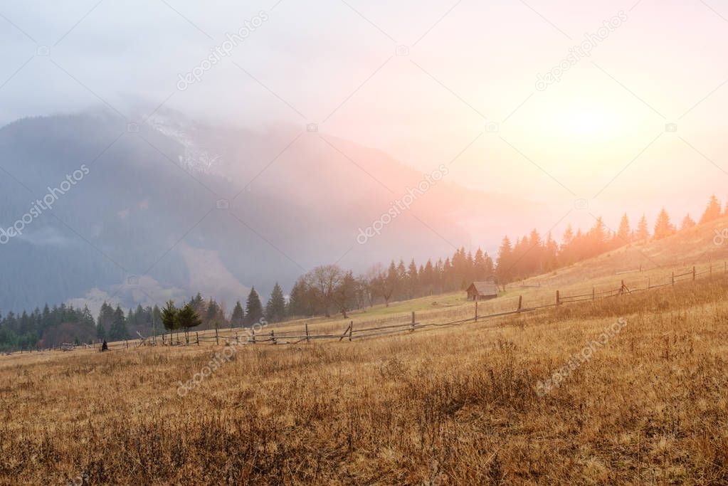Beautiful view with morning fog in early spring, in Carpathian mountains, in Transylvania, Romania