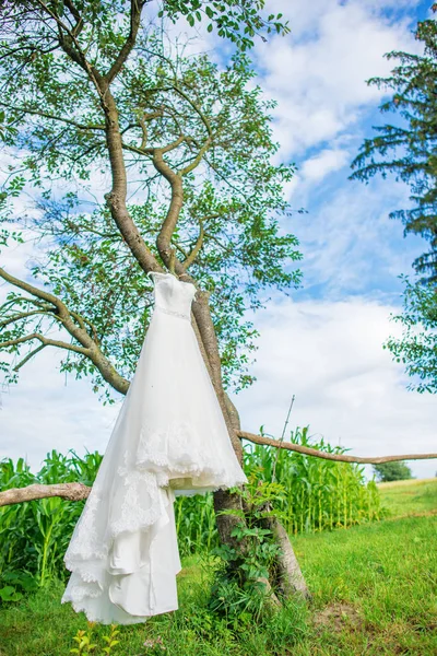 Vestido de noiva branco e pendurado em uma árvore no parque — Fotografia de Stock