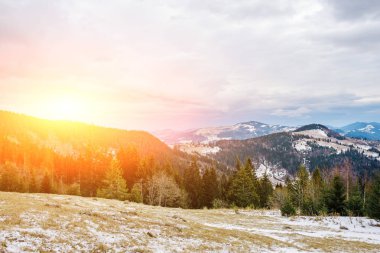 Doğal kış görünümü Karpat dağın zirvesinde