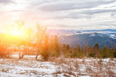 Doğal kış görünümü Karpat dağın zirvesinde