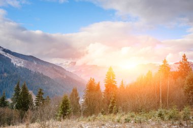 Doğal kış görünümü Karpat dağın zirvesinde