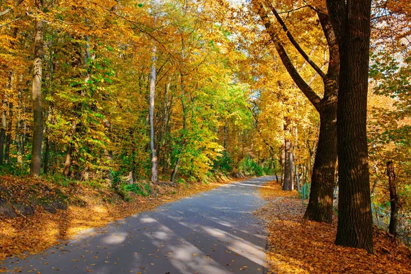 Paisagem brilhante e cênica de estrada nova através de árvores de outono com folha laranja e amarela caída — Fotografia de Stock