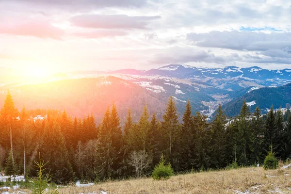 Doğal kış görünümü Karpat dağın zirvesinde
