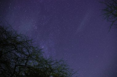 Ay ve yıldızlarla dolu gece gökyüzü bir orman üzerinden ışık tarafından geçen bulutlar