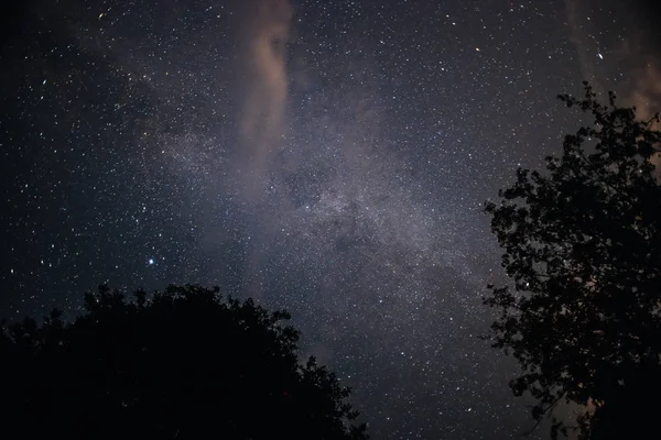 Um céu noturno claro com uma colina e árvores em primeiro plano — Fotografia de Stock