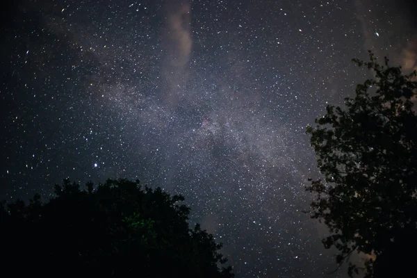 Bir gece açık gökyüzü bir tepe ve ön planda — Stok fotoğraf