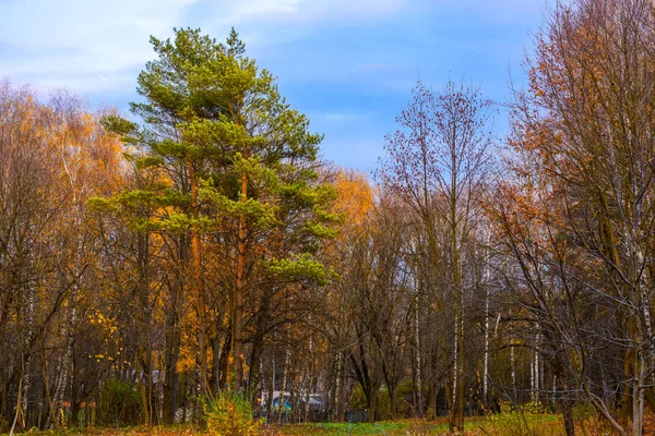 Parque de otoño en Ucrania —  Fotos de Stock