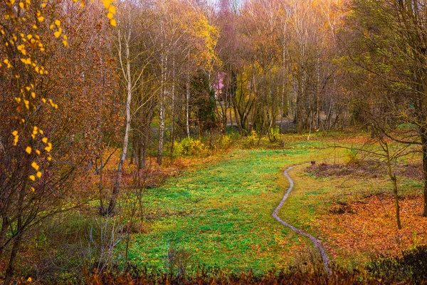 Höstens park i Ukraina — Stockfoto